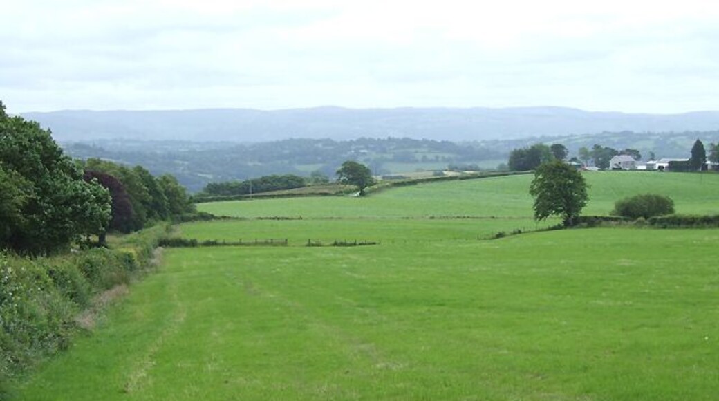 Farmland towards Llangeitho, Ceredigion The hills of the Elenydd beyond the Teifi valley, beyond Tregaron and Llanddewi-Brefi dominate the skyline.