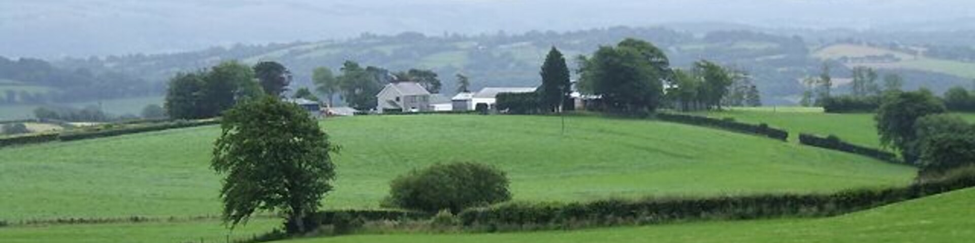 Farmland east of Penuwch, Ceredigion The Elenydd hills dominate the skyline about seven miles distant, beyond the Teifi Valley and Llanddewi-Brefi.