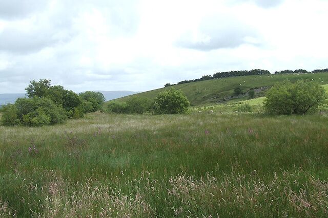 Farmland south of Penuwch, Ceredigion