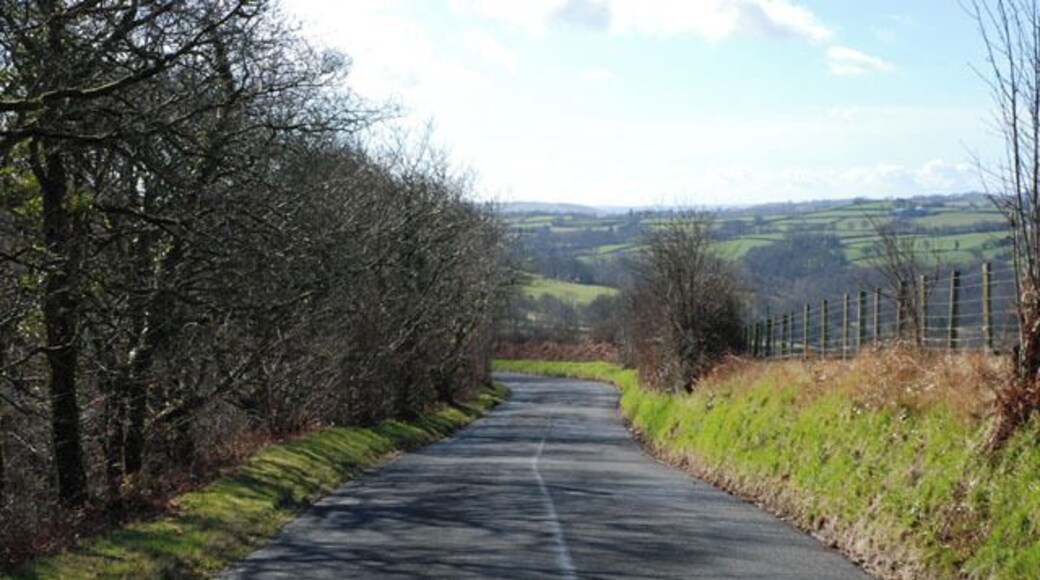 Road to Llangeitho This minor road is the usual approach to Llangeitho from the B4578 to the north. There is some good natural woodland down the slopes to the left of the road here.