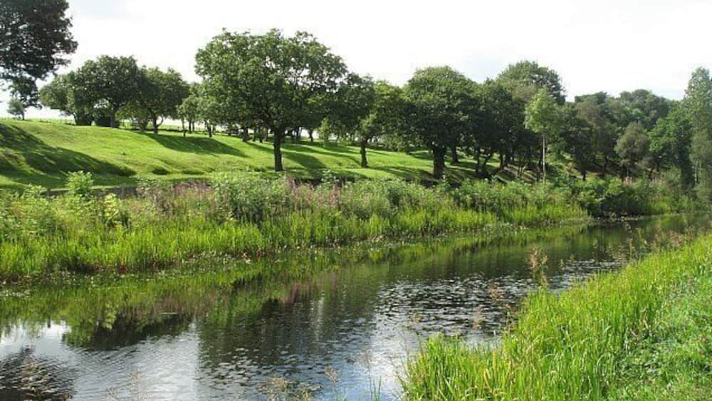 Ein ruhiger Fluss mit grünen Ufern und Bäumen im Hintergrund.