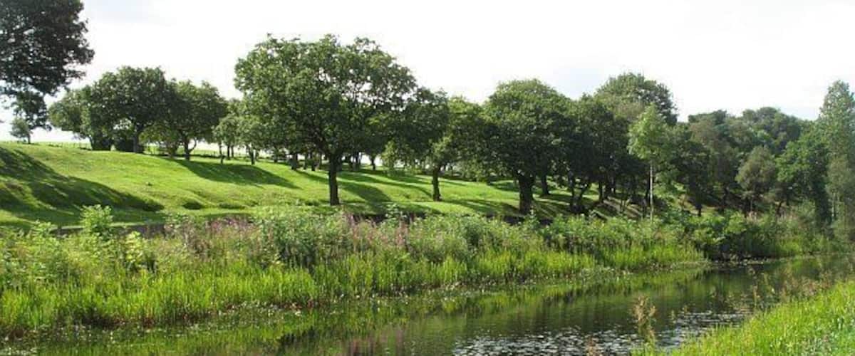 Une rivière paisible, bordée de rives verdoyantes et avec des arbres en arrière-plan.