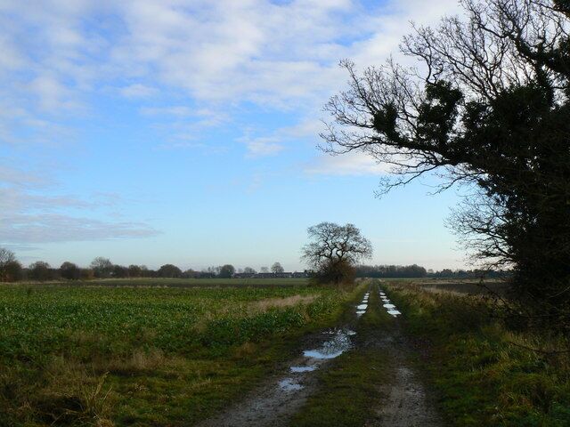 The Road to Eastrington, East Riding of Yorkshire, England. Westfield Lane. Looking eastward from Eastrington Pond toward Eastrington.