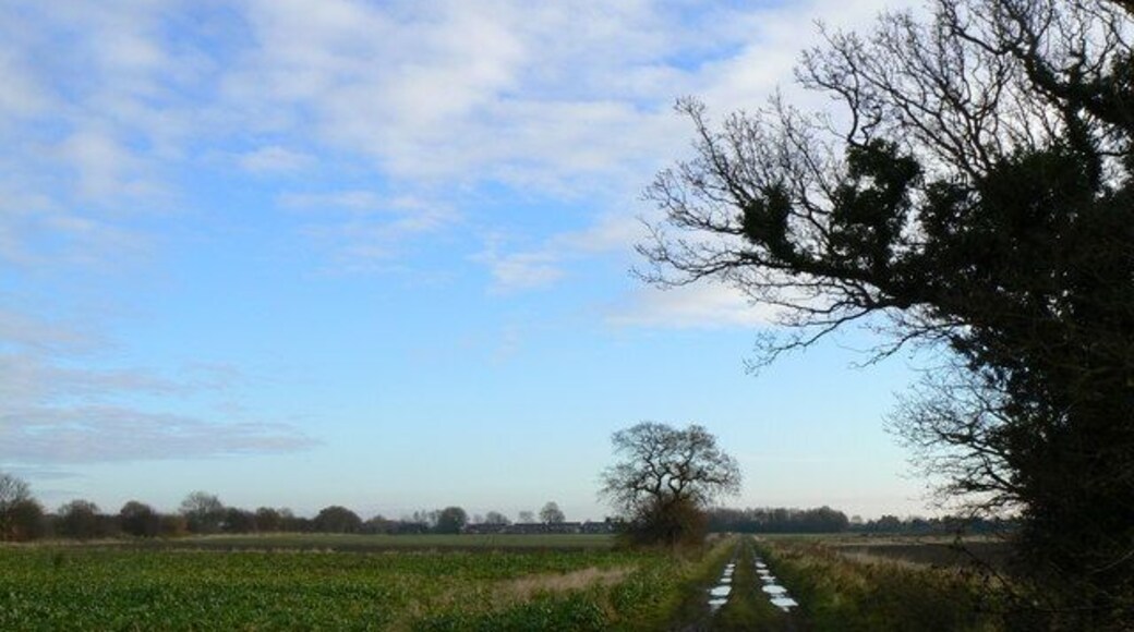 The Road to Eastrington, East Riding of Yorkshire, England. Westfield Lane. Looking eastward from Eastrington Pond toward Eastrington.