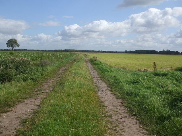 Farm track near Eastrington Station, Eastrington, East Riding of Yorkshire, England.