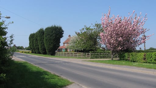 Manor Farm, Newland in the East Riding of Yorkshire, England.