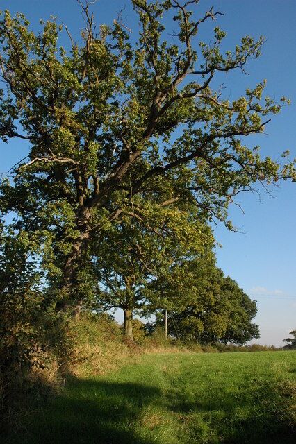Footpath off Folly Road, Alfrick