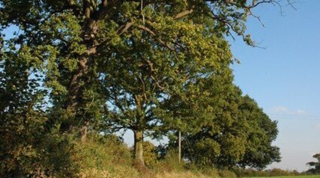Footpath off Folly Road, Alfrick