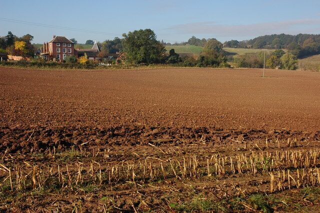 Farmland to the west of Alfrick Church