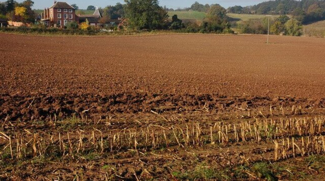 Farmland to the west of Alfrick Church
