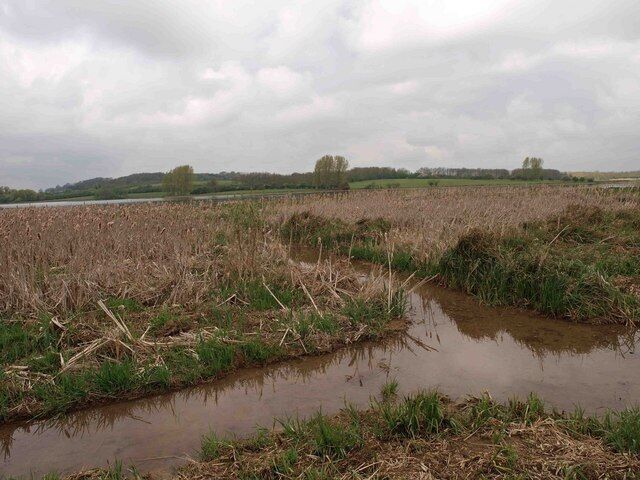 The view from the Waterscrape bird hide Ospreys can be seen from this hide.