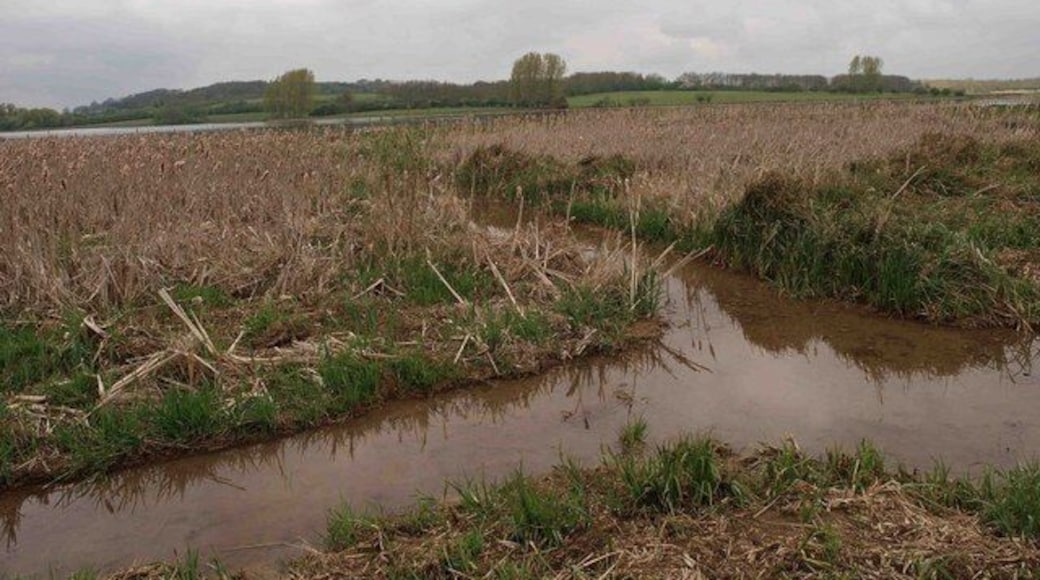 The view from the Waterscrape bird hide Ospreys can be seen from this hide.
