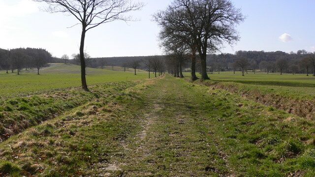 Long, straight byway going south west to Trotton Marsh