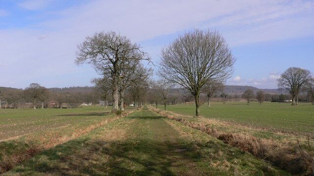 Long, straight byway going north east from Trotton Marsh