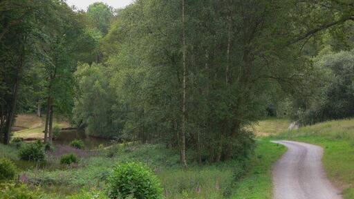 Approaching new ponds at Maysleith Wood I don't know how new the ponds are but some work is still in progress.