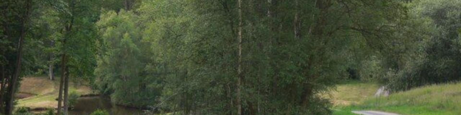 Approaching new ponds at Maysleith Wood I don't know how new the ponds are but some work is still in progress.