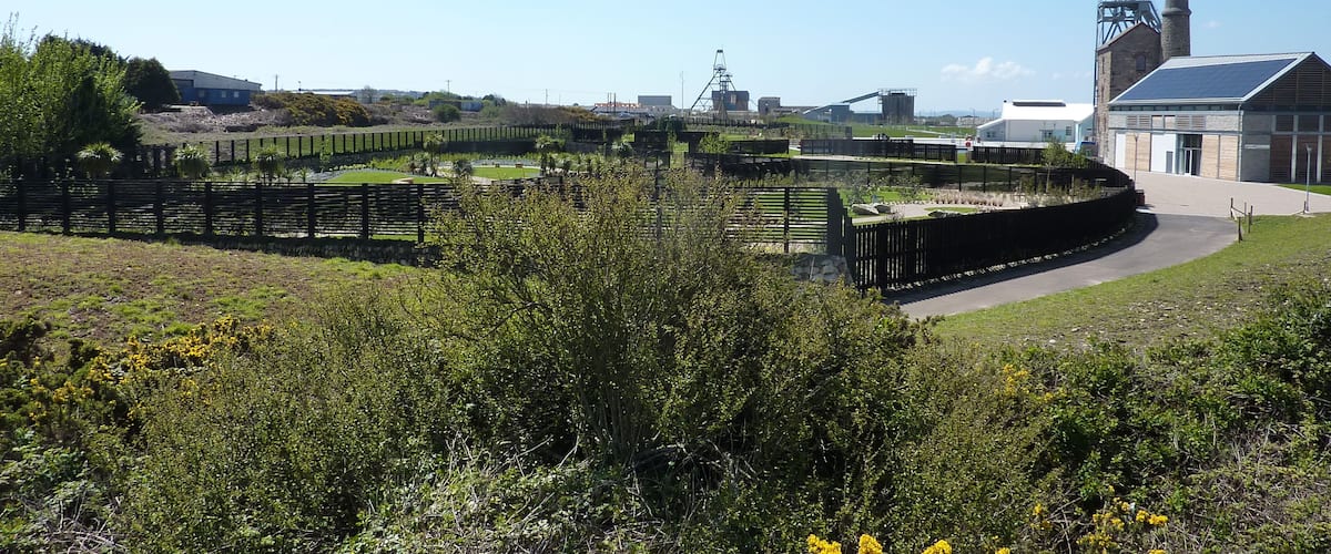 A landscaped area with a curved path, a building with a solar panel roof, and a wind turbine in the background.
