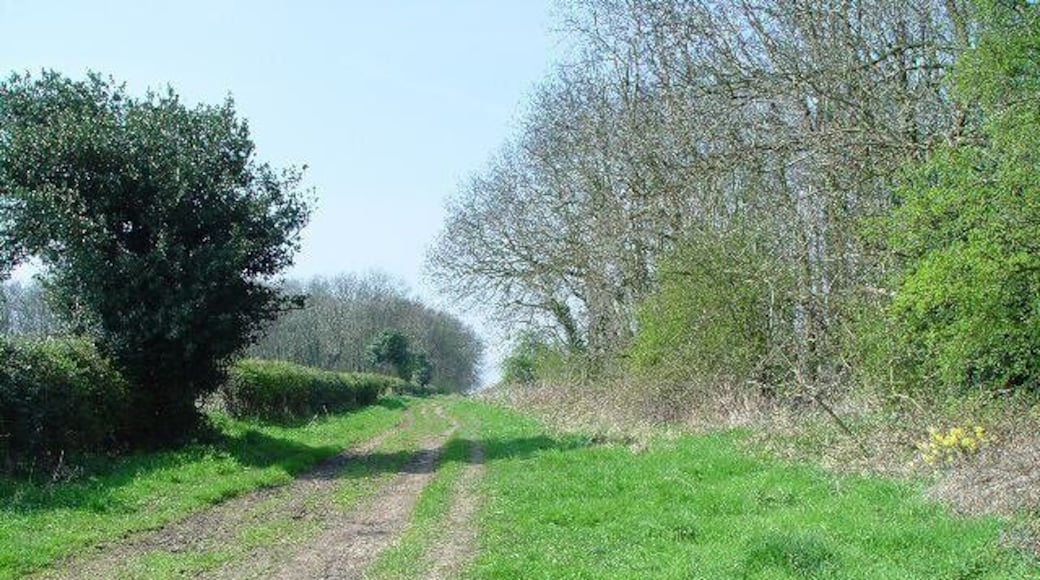 Peggy Farrow Lane, Elloughton, East Riding of Yorkshire, England. Rising gently above the arable farmland, with views across the Humber Estuary, the bridleway (known as Peggy Farrow Lane) leads to the beech woods and on to the top of Brantingham Dale.