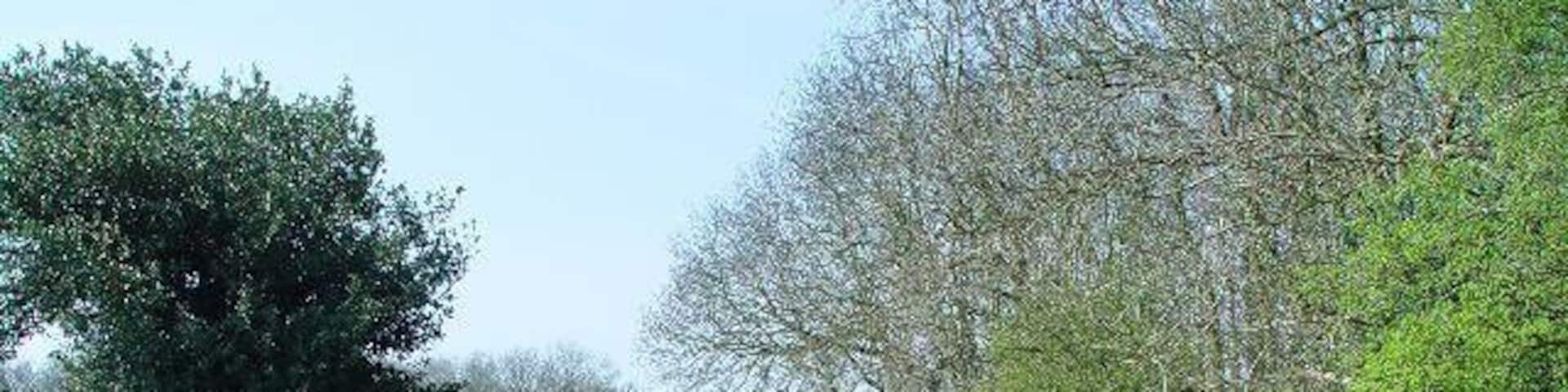 Peggy Farrow Lane, Elloughton, East Riding of Yorkshire, England. Rising gently above the arable farmland, with views across the Humber Estuary, the bridleway (known as Peggy Farrow Lane) leads to the beech woods and on to the top of Brantingham Dale.