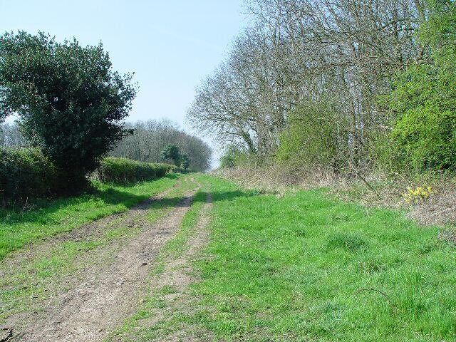 A rural dirt road flanked by green grass and trees.