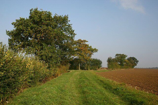 Footpath to Hickford Hill This path leads northwards from the minor road between Ovington and Belchamp St Paul.
