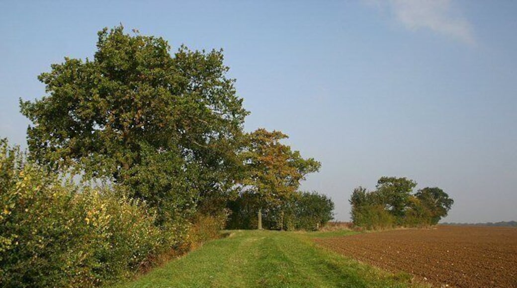 Footpath to Hickford Hill This path leads northwards from the minor road between Ovington and Belchamp St Paul.