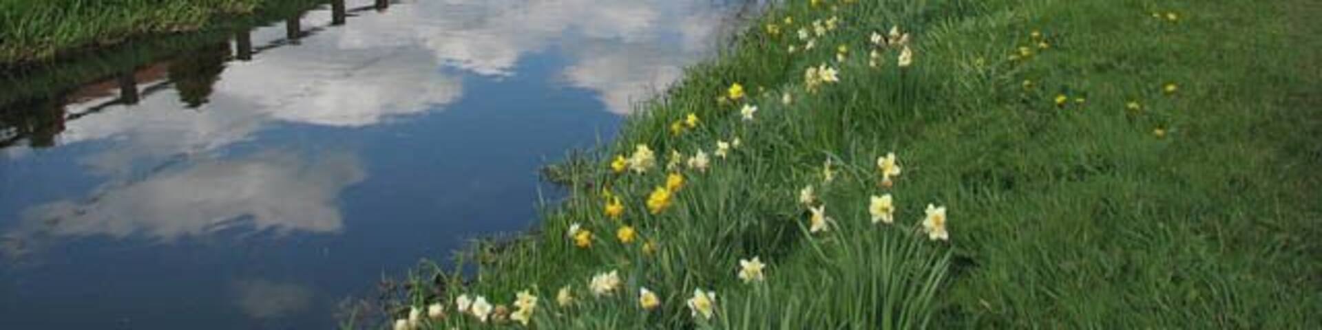 Wisbech & Upwell tramway - Goodman's Crossing Wisbech & Upwell tramway's Upwell depot > 1241222 was 5 miles 72 chains distant from Wisbech. The line had eleven sidings, with two originally allocated for passenger traffic. During the fruit season the sidings could hold more than a hundred vans. The depot had a cattle dock, a depot office, a passenger waiting room, and a coal merchant's office and staithes. There was also an ash pit, and an old GER tender was used for a water tower until 1953 when it was removed. http://www.lner.info/co/GER/wisbech/route.shtml From the Upwell depot, which was the southern terminus of the tramway, the trains headed northwards > https://www.geograph.org.uk/photo/1241251 to the village of Outwell, crossing Small Lode > https://www.geograph.org.uk/photo/1241268 and passing a farm before emerging on Low Side > https://www.geograph.org.uk/photo/1241442 which was the final request stop. A farm driveway now runs where the railway trackbed used to be > https://www.geograph.org.uk/photo/1241431. Running parallel with Well Creek (the old course of the River Nene) the tramway then ran along the grassy verge seen in the foreground before reaching the final section of reserved track at Goodman's Crossing request stop before reaching Outwell Village depot. Outwell Village depot > https://www.geograph.org.uk/photo/1241458 was located just past the bridge seen in the background - by the old course of the River Nene and adjoined by St Clement's church on the other side. It originally had four sidings and was equipped with coal chutes to transfer coal to barges for distribution through the Fens. The depot had a small office building built from red brick > https://www.geograph.org.uk/photo/1241479 and an old van body for storage. The brick office still stands, but most of the depot site has since been built over by modern housing. The name of the cul-de-sac/access road is called "The Tramway". When during the 13th century the estuary silted up, the fens surrounding the market town and port of Wisbech were reclaimed for agricultural use. The new agricultural prosperity soon attracted railways such as the Eastern Counties Railway which opened a branch in 1847. In 1848 the East Anglian Railway built a branch from Watlington. A third line was built by the Peterborough, Wisbech & Sutton Bridge Railway (later the Midland & Great Northern Joint Railway) which opened a station on the other side of the River Nene in 1866. The trains carried fruit and vegetables to markets as far afield as London. In addition, the construction of a tramway line connecting the villages Upwell and Outwell with Wisbech commenced in 1882. Board of Trade's tram restrictions resulted in the unusual-looking locomotives which not only had speed restrictions but controls at both ends and wooden cowcatchers and skirts over the wheels. Six trams a day in each direction provided passenger services, with the full one way journey taking one hour. By October 1884 traffic had grown to 3000 passengers per week, with peaks of 2000 in a day for fetes and other special events. The tram competed with a canal that ran between Wisbech and Upwell and with the canal being in a poor financial condition the tram eventually finished it off. When motor omnibuses started to appear, however, passenger numbers declined drastically and passenger services were withdrawn in 1927, whereas freight traffic continued to flourish. With the introduction of two Drewry Shunters (BR Class 04) in 1952, Wisbech & Upwell became Britain's first all-diesel line. The line closed in March 1966. http://www.lner.info/co/GER/wisbech/history.shtml