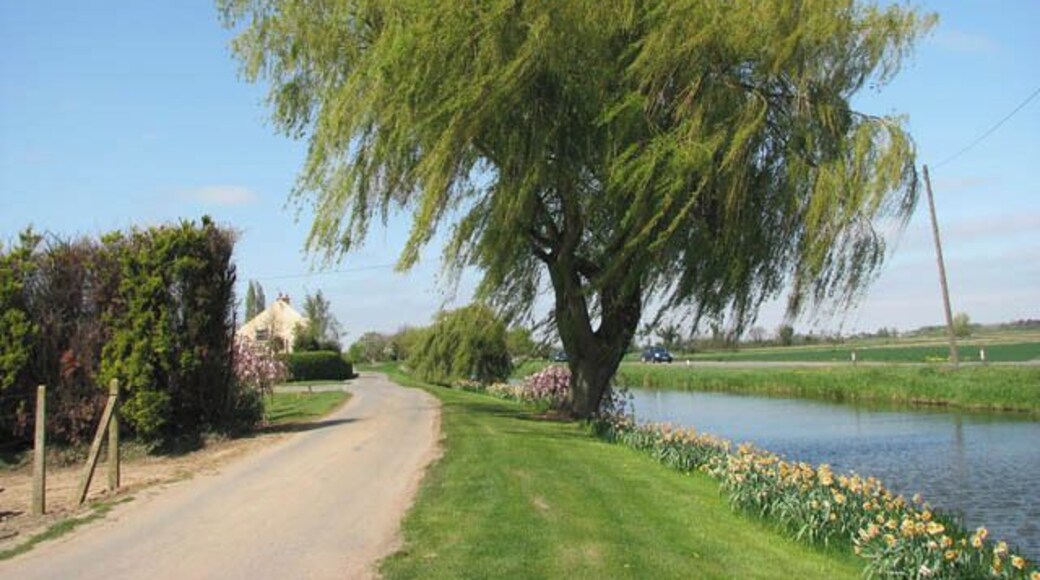 Willow tree on Cemetery Lane Well Creek separates the A1122 road (at right) from Cemetery Lane, which provides access to properties located alongside it. Well Creek once was the main course of the River Nene and a tributary of the River great Ouse, until its diversion from Peterborough to Wisbech in 1946.