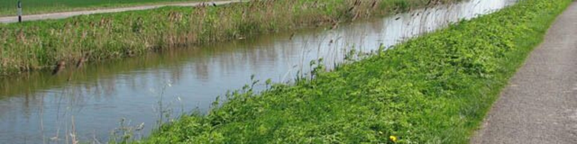 Un canal estrecho bordeado por orillas cubiertas de hierba y un sendero pavimentado.