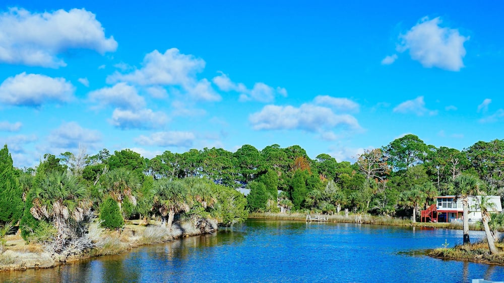 Florida Hernando beach and swamp