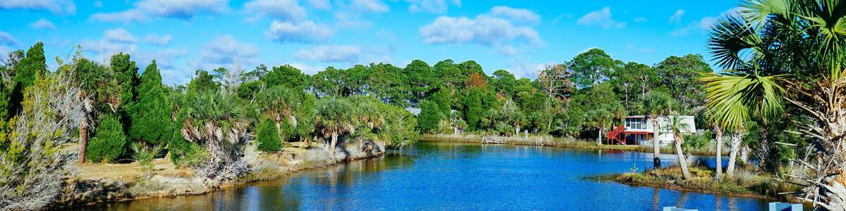 Florida Hernando beach and swamp