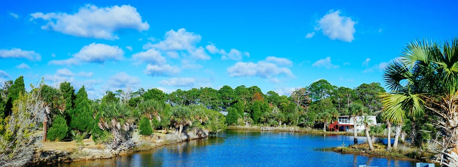 Florida Hernando beach and swamp