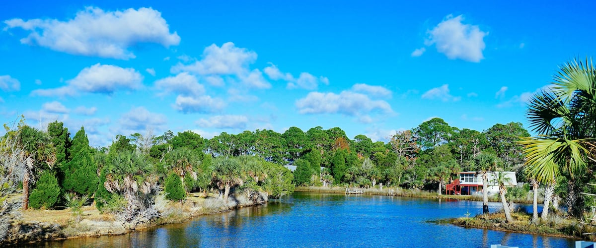 A lake surrounded by dense greenery and a clear blue sky.
