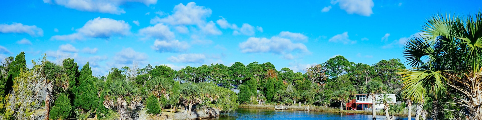 A lake surrounded by dense greenery and a clear blue sky.
