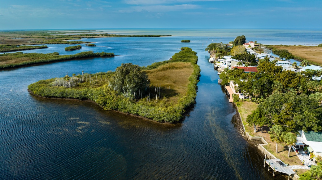 Aripeka is an unincorporated community and census-designated place in the U.S. state of Florida, along coast of the Gulf of Mexico at the border dividing Pasco and Hernando counties.