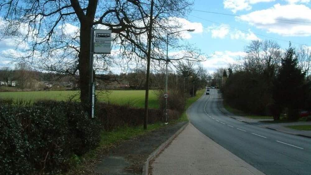A rural road with a signpost, trees, and a clear sky.