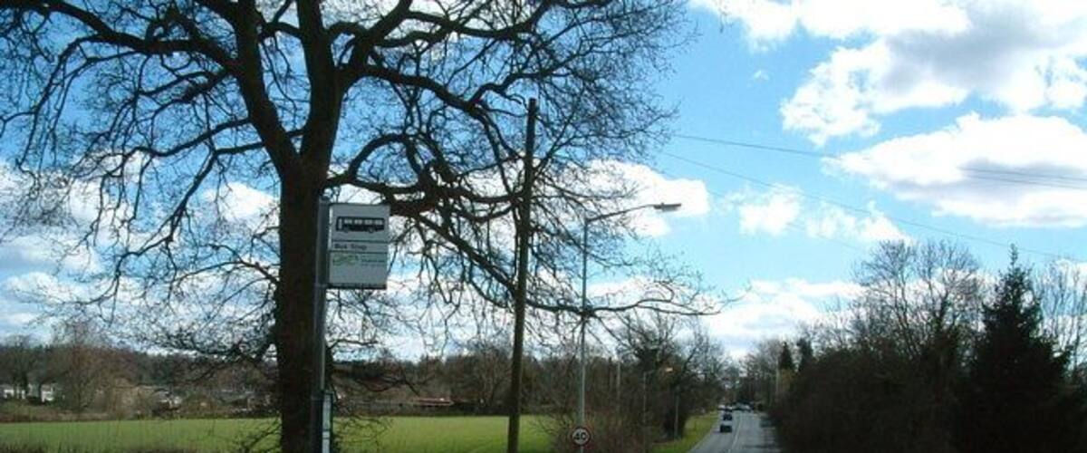 A rural road with a signpost, trees, and a clear sky.