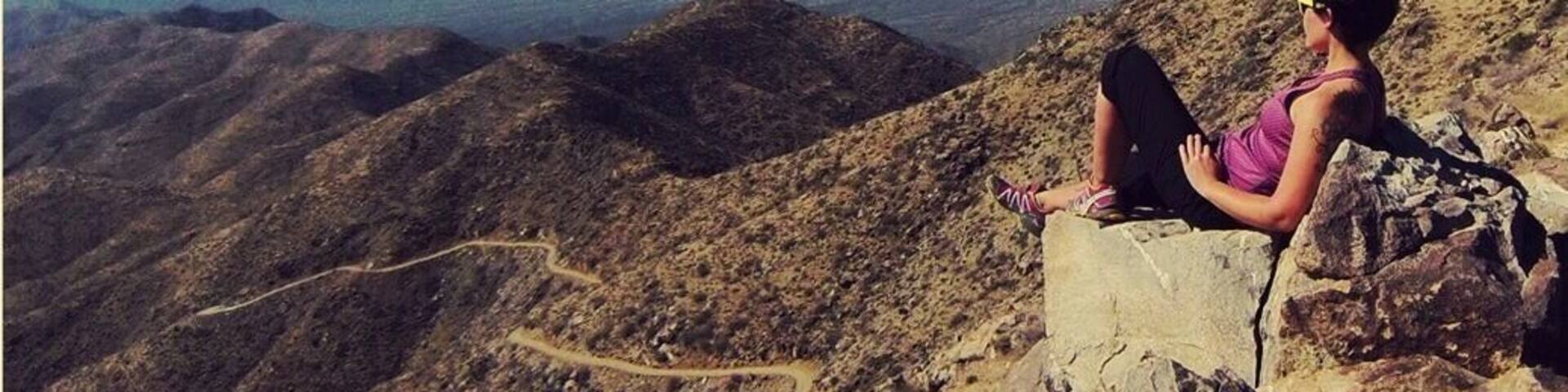 We trekked the long some 10 mile trail up to the top of Harquahala Peak and found this view at the top. The way is lined with wise old cactus and some great views of the valley below! From where I'm sitting here I could see nearly the entire Kofa Natl Wildlife Refuge, or so I thought!