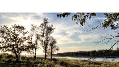 A river with trees and grass in the foreground.