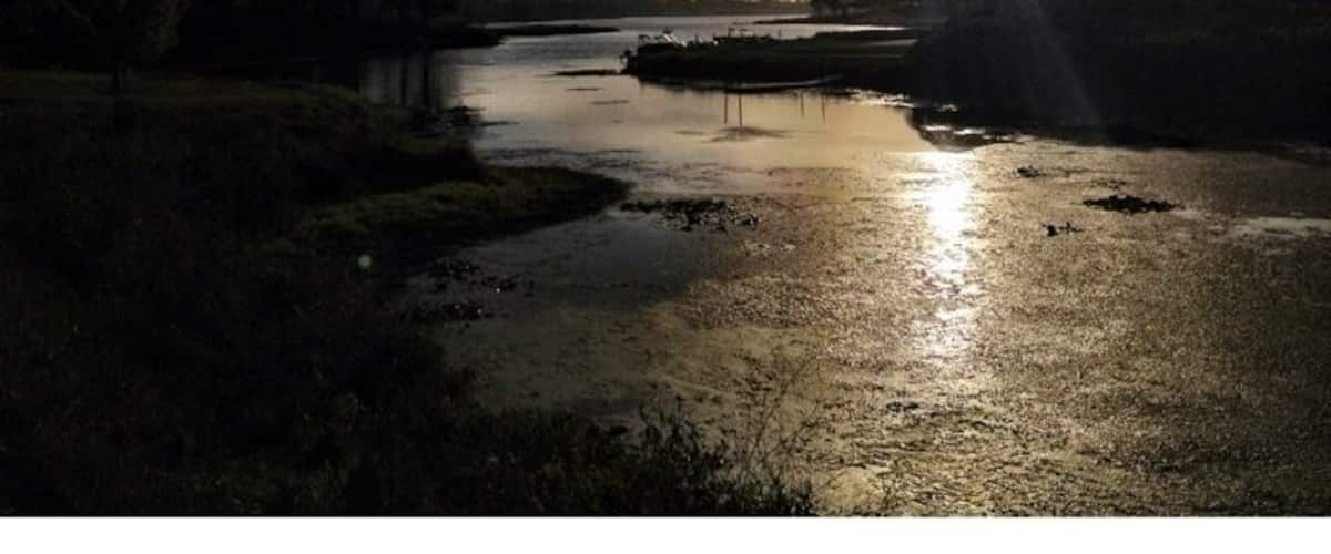 A river at sunset with the sun low on the horizon, reflecting on the water.