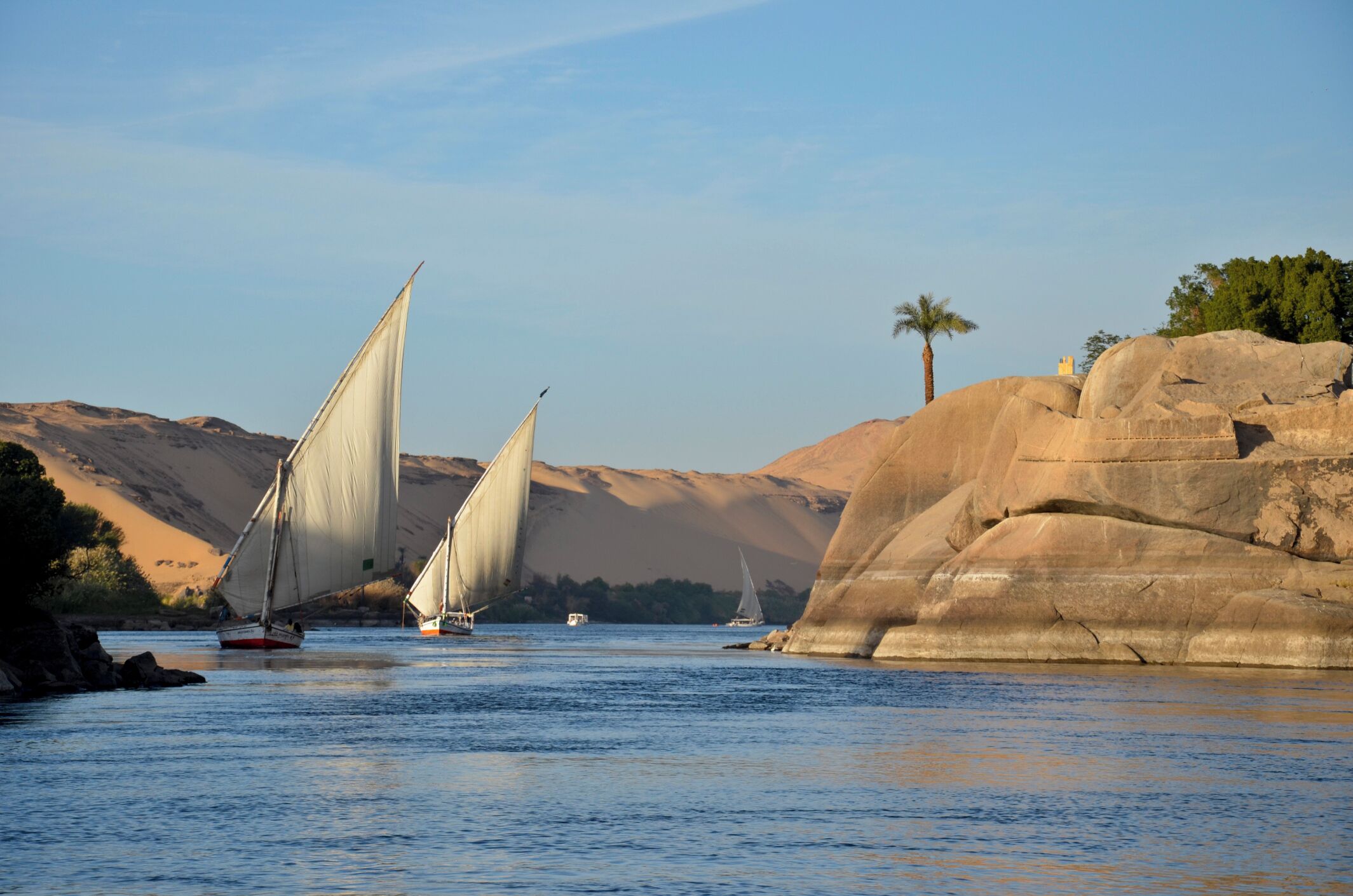 Sailboats on a river with rocky banks and palm trees.