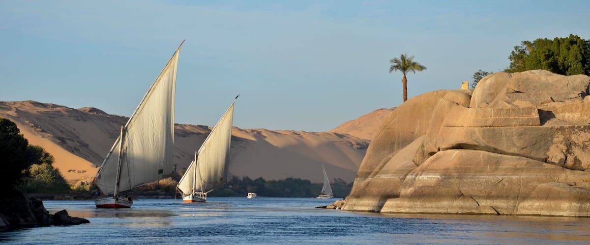 Sailboats on a river with rocky banks and palm trees.