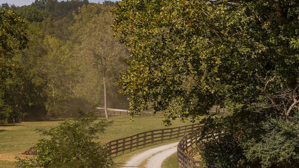 Dusty driveway on the farm during summer
