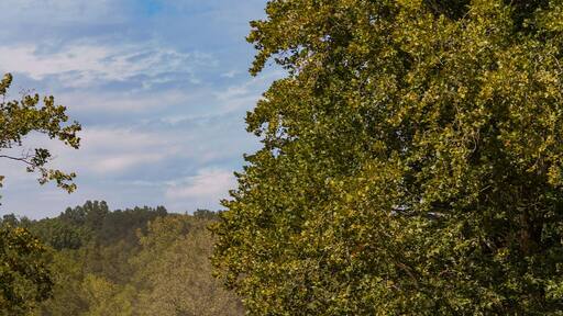Dusty driveway on the farm during summer