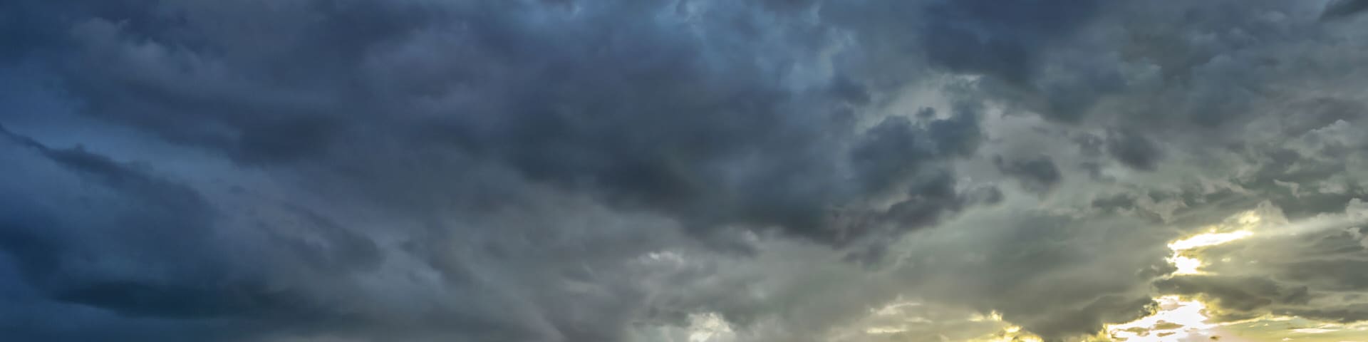 African Bush Elephant - Loxodonta africana, iconic member of African big five, Amboseli, Kenya.