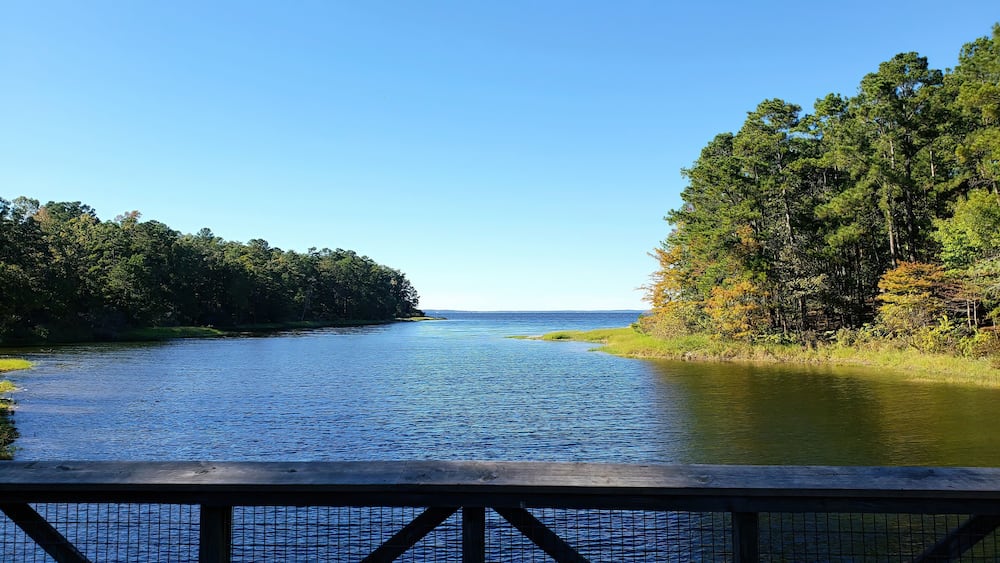 South Toledo Bend State Park