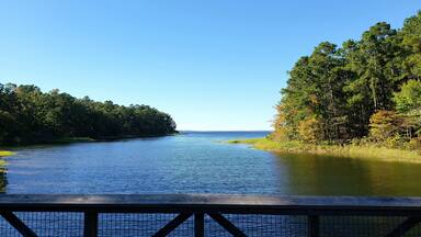 South Toledo Bend State Park