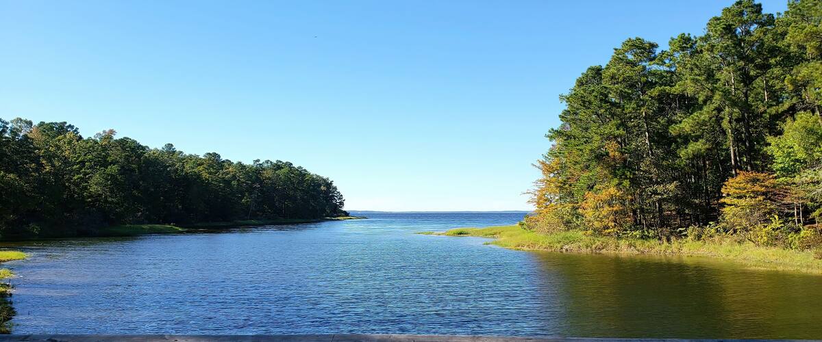 A river flanked by dense forests under a clear blue sky.