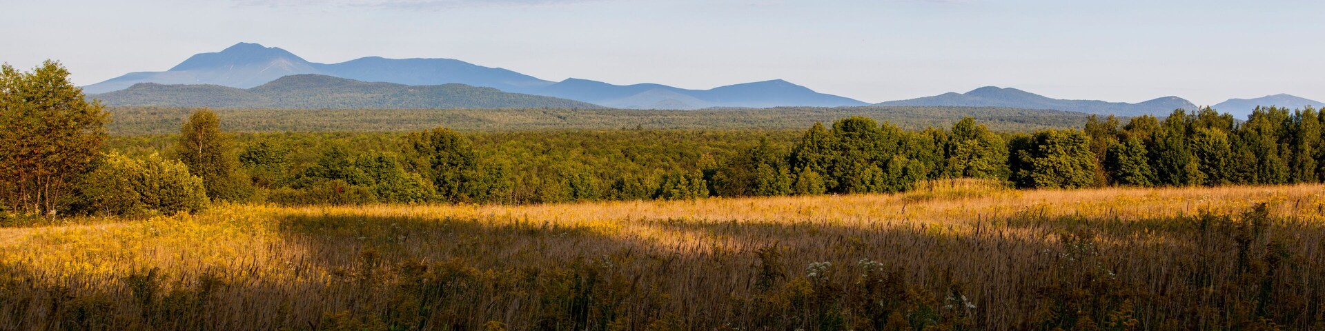 Un extenso campo con pastos altos y una zona boscosa con montañas al fondo.