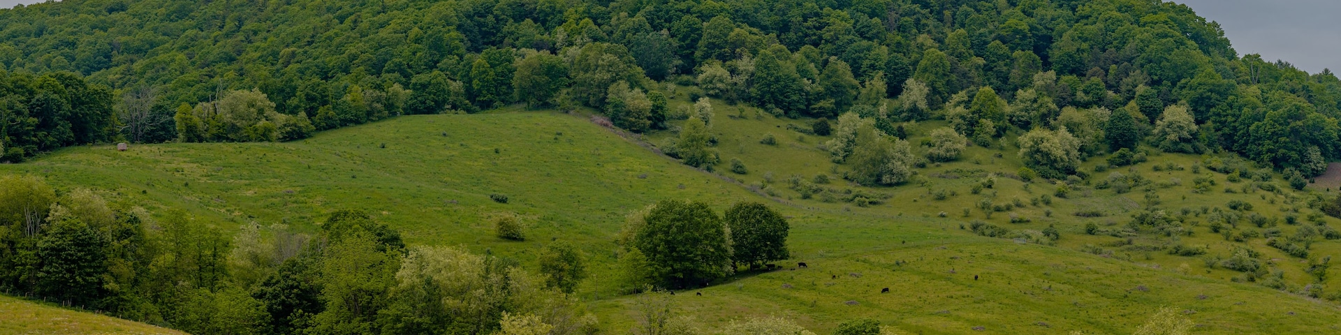 A red barn on a grassy hill with a forested mountain in the background.